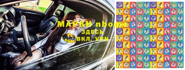 мдпв Каменногорск