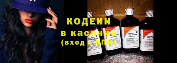 молекула духа Каменка