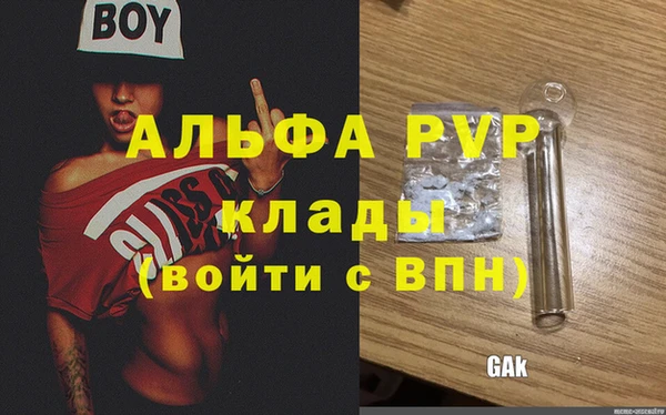 мдпв Каменногорск