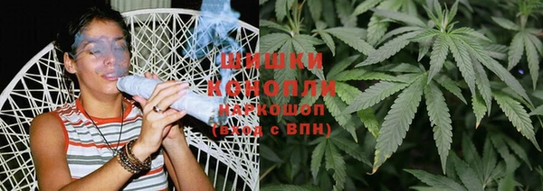 молекула духа Каменка