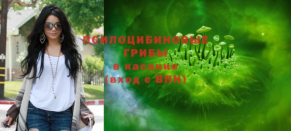 мдпв Каменногорск