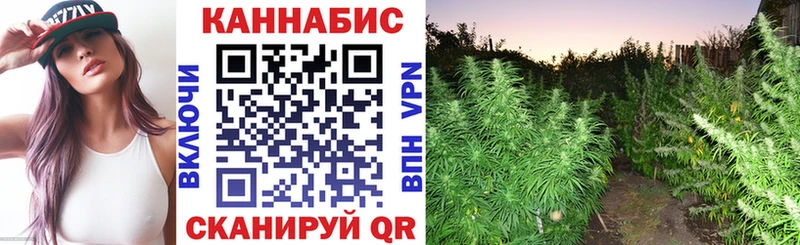 Купить закладки  Салаир  Бошки Шишки White Widow 